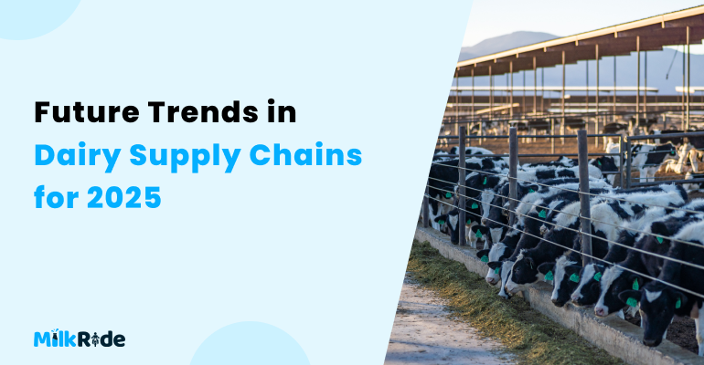 Future Trends in Dairy Supply Chains for 2026